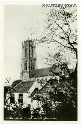 ansichtkaart: Zaltbommel, Toren vanuit plantsoen