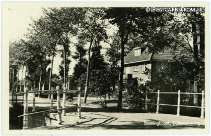 Benningbroek, Dokterswoning ansichtkaart: Benningbroek, Dokterswoning