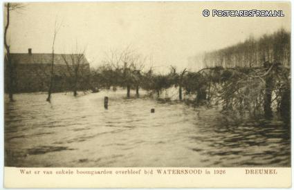 ansichtkaart: Dreumel, Water van enkele boomgaarden overbleef b.d.Watersnood in 1926