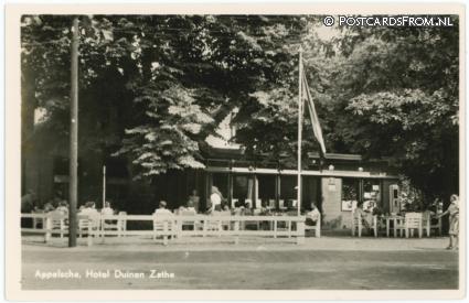 ansichtkaart: Appelscha, Hotel Duinen Zathe