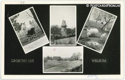 ansichtkaart: Welsum, Groeten uit