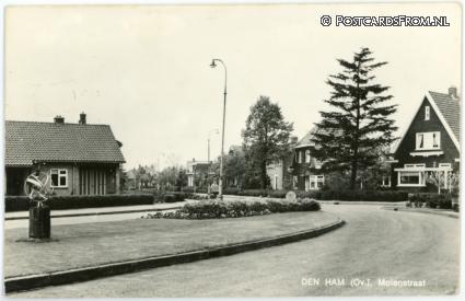Den Ham OV, Molenstraat ansichtkaart: Den Ham OV, Molenstraat