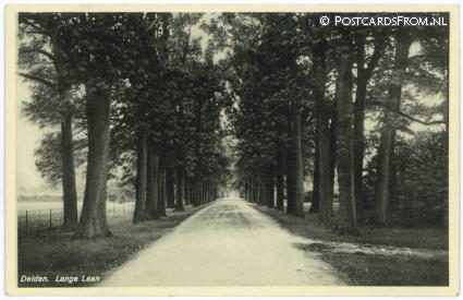 Delden, Lange Laan ansichtkaart: Delden, Lange Laan