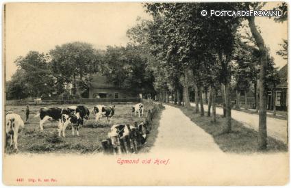 ansichtkaart: Egmond aan den Hoef, --