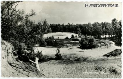 Appelscha, Duinen ansichtkaart: Appelscha, Duinen