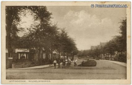 ansichtkaart: Appingedam, Wilhelminaweg. Eelshuis