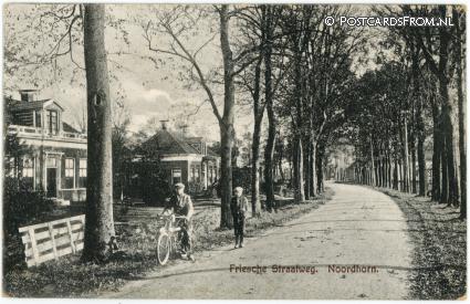 ansichtkaart: Noordhorn, Friesche Straatweg