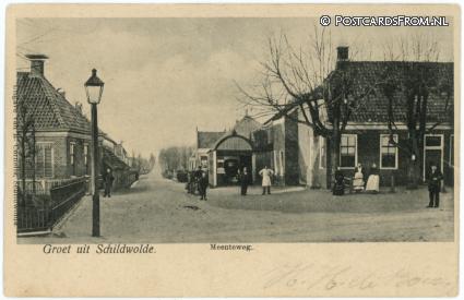 ansichtkaart: Schildwolde, Meenteweg