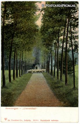 ansichtkaart: Amerongen, Lievendaal