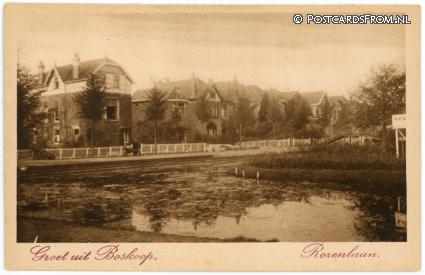 ansichtkaart: Boskoop, Rozenlaan