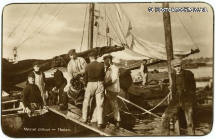 ansichtkaart: Tholen, Mossel cultuur