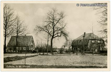 ansichtkaart: Zelhem, In de Meene