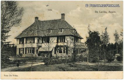 ansichtkaart: Assen, De Lariks