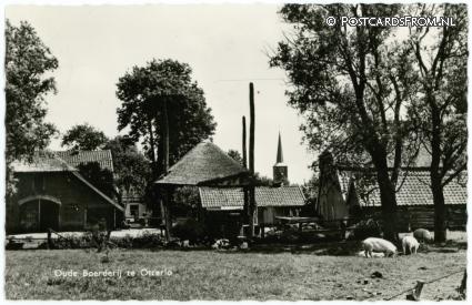 ansichtkaart: Otterlo, Oude Boerderij