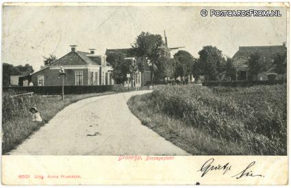 Dronrijp, Dorpsgezicht ansichtkaart: Dronrijp, Dorpsgezicht