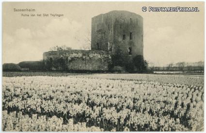 ansichtkaart: Sassenheim, Ruine van het Slot Teylingen