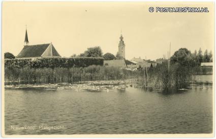 ansichtkaart: Nieuwkoop, Plasgezicht