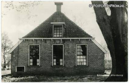 ansichtkaart: Bakkeveen, Allardsoog