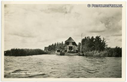 ansichtkaart: Eernewoude, Swanneblom