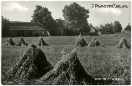 Netersel, Groeten uit ansichtkaart: Netersel, Groeten uit
