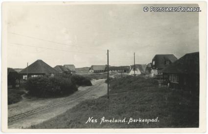 Nes Ameland, Berkenpad ansichtkaart: Nes Ameland, Berkenpad