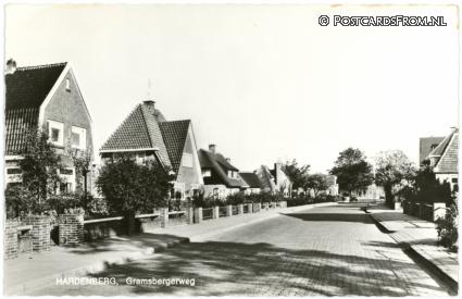 Hardenberg, Gramsbergerweg ansichtkaart: Hardenberg, Gramsbergerweg