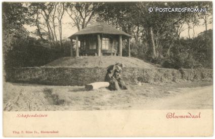 Bloemendaal, Schapenduine ansichtkaart: Bloemendaal, Schapenduine