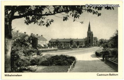 ansichtkaart: Castricum, Bakkum. Wilhelminalaan