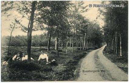 ansichtkaart: Maarn, Maarsbergsche weg