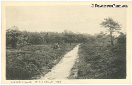 ansichtkaart: Beetsterzwaag, Op die stille heide