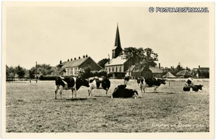 Oosterwolde FR, Groeten uit ansichtkaart: Oosterwolde FR, Groeten uit