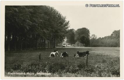 Frederiksoord, Huize ''Westerbeek' ansichtkaart: Frederiksoord, Huize ''Westerbeek'