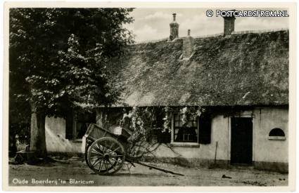 Blaricum, Oude Boerderij ansichtkaart: Blaricum, Oude Boerderij