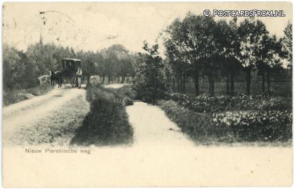ansichtkaart: Piershil, Nieuw Piershilsche weg