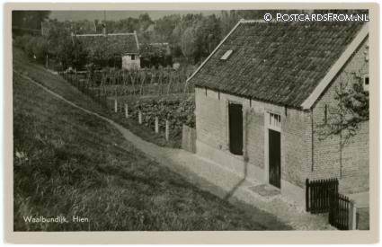 ansichtkaart: Dodewaard, Hien. Waalbundijk