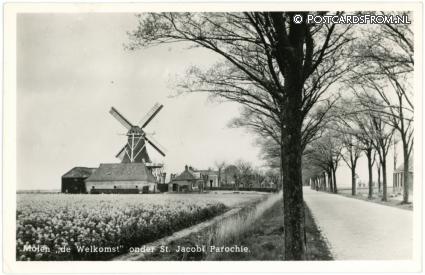 ansichtkaart: Sint Jacobiparochie, Molen 'de Welkomst' onder St.. Jacobi Parochie