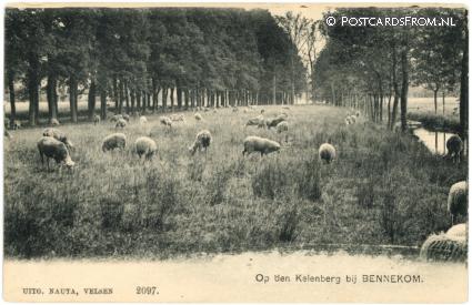 ansichtkaart: Bennekom, Op den Keienberg