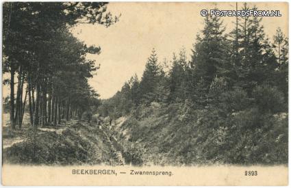 Beekbergen, Zwanenspreng ansichtkaart: Beekbergen, Zwanenspreng