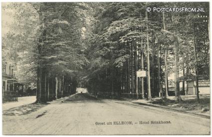 Ellecom, Hotel Brinkhorst ansichtkaart: Ellecom, Hotel Brinkhorst