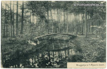 ansichtkaart: Rijsenburg, Bruggetje in 't Rijsenb.bosch