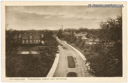 Appingedam, Panorama vanaf het Station ansichtkaart: Appingedam, Panorama vanaf het Station