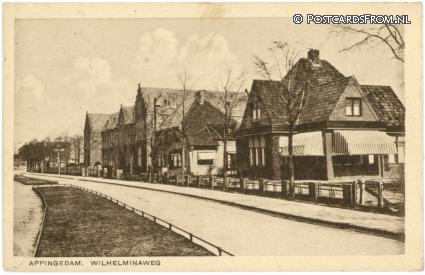ansichtkaart: Appingedam, Wilhelminaweg