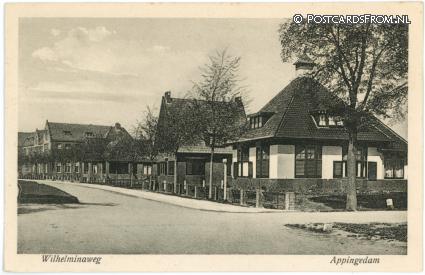 ansichtkaart: Appingedam, Wilhelminaweg