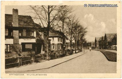 ansichtkaart: Appingedam, Wilhelminaweg. Huize 'Eelshuis'