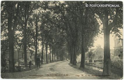 Appingedam, Noordersingel ansichtkaart: Appingedam, Noordersingel