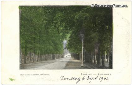 Apeldoorn, Loolaan ansichtkaart: Apeldoorn, Loolaan
