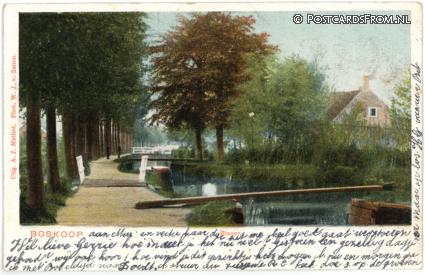 ansichtkaart: Boskoop, Biezen