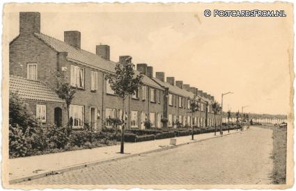 Ooltgensplaat, Esdoornstraat ansichtkaart: Ooltgensplaat, Esdoornstraat