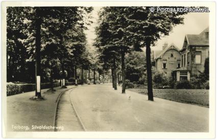 Terborg, Silvoldenscheweg ansichtkaart: Terborg, Silvoldenscheweg