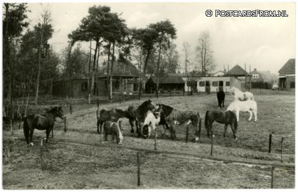 Soest, Nationaal Rusthuis voor Paarden ansichtkaart: Soest, Nationaal Rusthuis voor Paarden